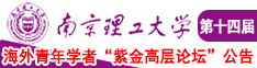 用力干我插我视频南京理工大学第十四届海外青年学者紫金论坛诚邀海内外英才！